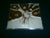 SABOTAGE - Demo '89. CD