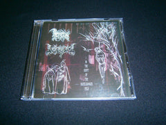 THRONEUM / PAZUZU - In the Crypt of the Hakeldamach Feld. Split CD