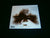 STROSZEK - Songs of Remorse. Digipak CD