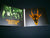 NUNSLAUGHTER - Hear the Witches Cackle. Digipak CD