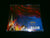 RAPED BY PIGS - Squealing to the New World. CD