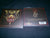ISHVARA - Shape of a Void to Come. Digipak CD