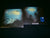 ENISUM - Forgotten Mountains. Digipak CD